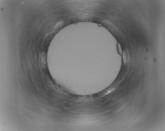 X0000077351107200611171851