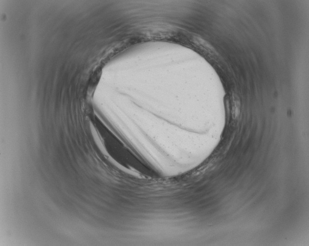 X0000077351108200611171851