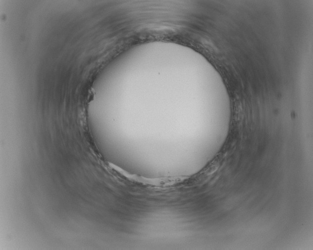 X0000077351109200611171851