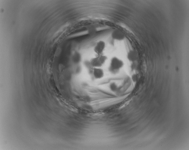 X0000077351110200611171851