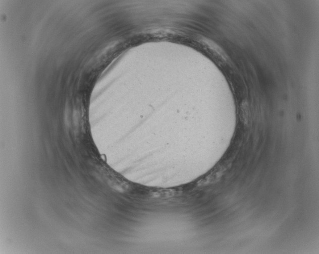 X0000077351111200611171851