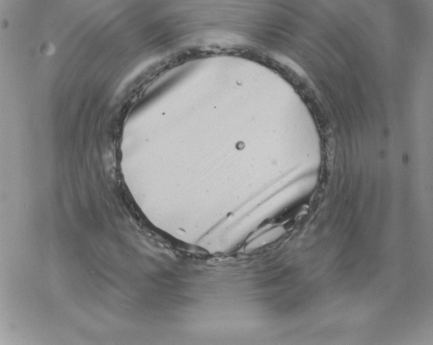 X0000077351112200611171851