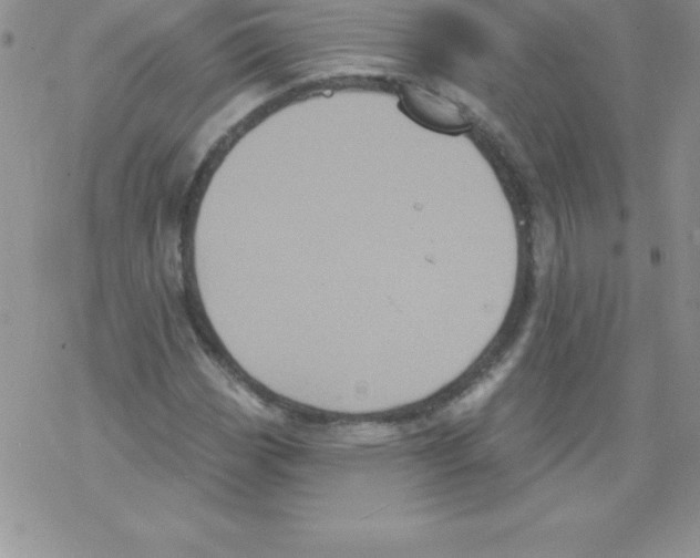 X0000077351113200611171851