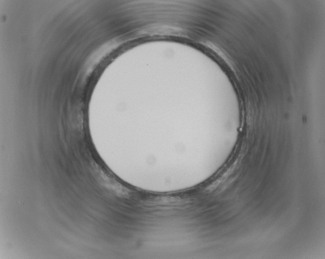 X0000077351115200611171851