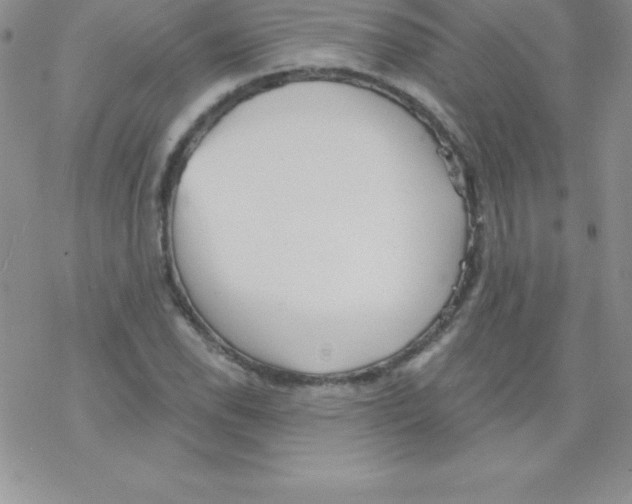 X0000077351118200611171851