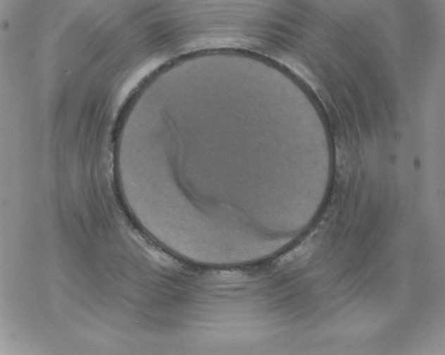 X0000077351119200611171851