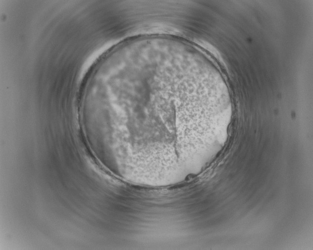 X0000077351120200611171851