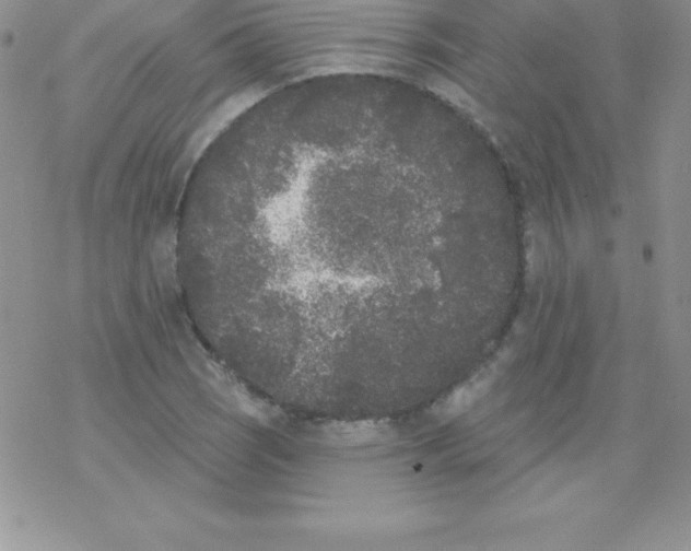 X0000077351121200611171851