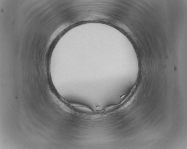 X0000077351122200611171851