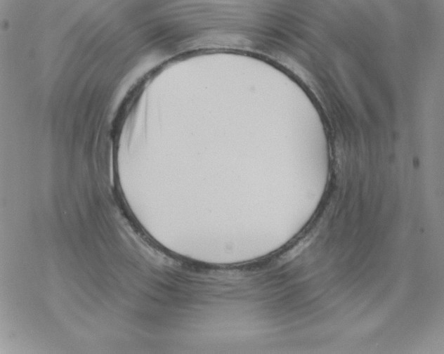 X0000077351123200611171851