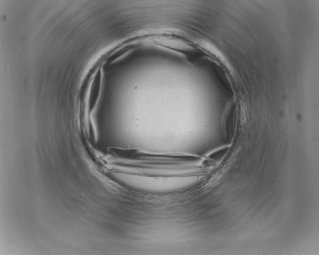 X0000077351124200611171851