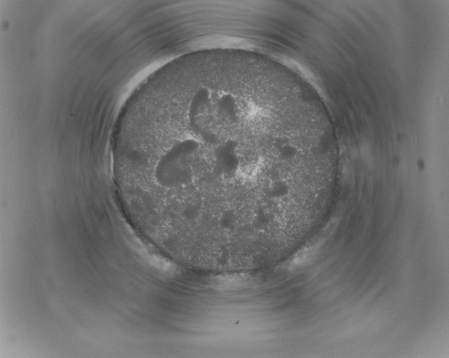 X0000077351125200611171851