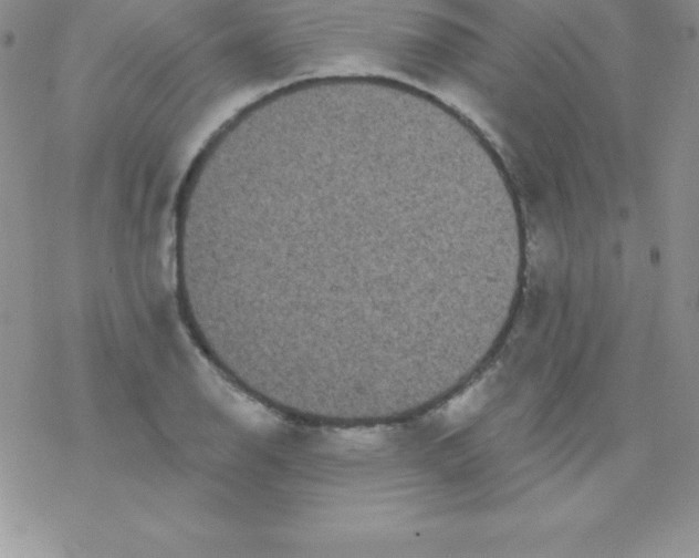 X0000077351126200611171851