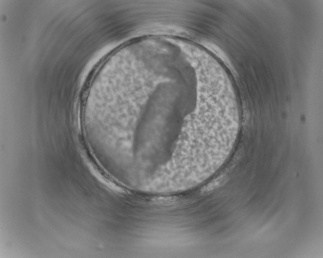 X0000077351128200611171851