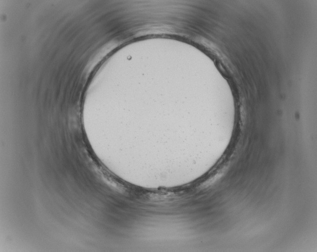 X0000077351129200611171851