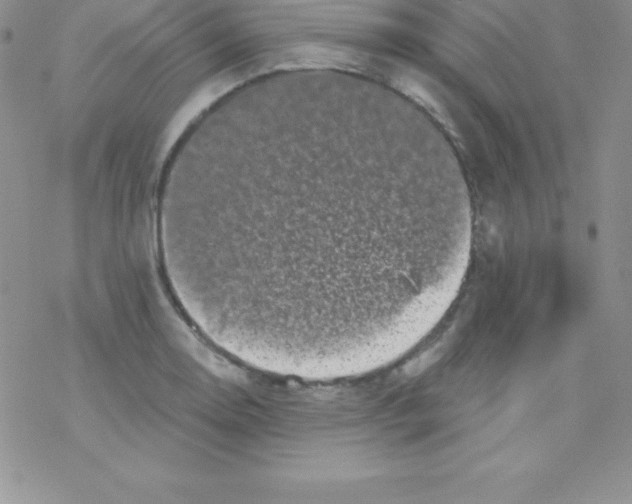 X0000077351130200611171851