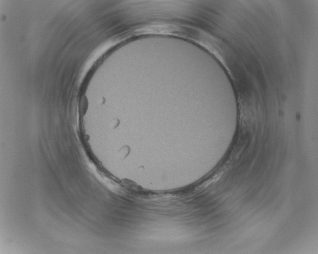 X0000077351131200611171851