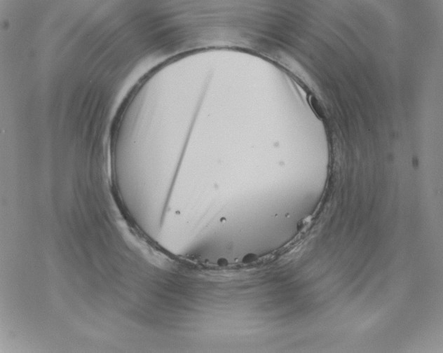 X0000077351132200611171851