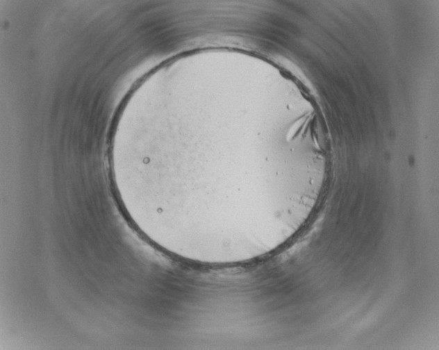 X0000077351133200611171851