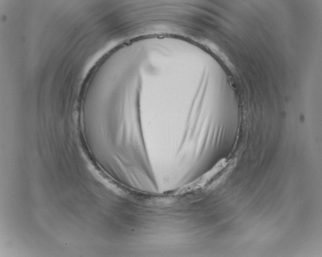 X0000077351134200611171851