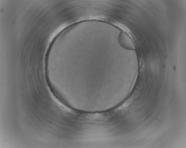 X0000077351135200611171851