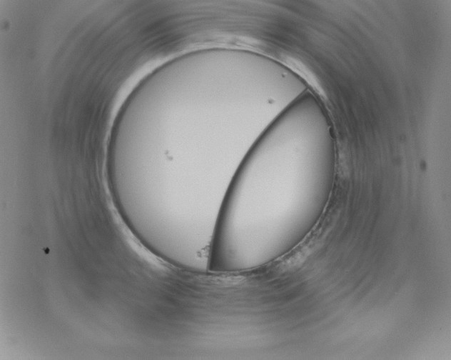 X0000077351136200611171851