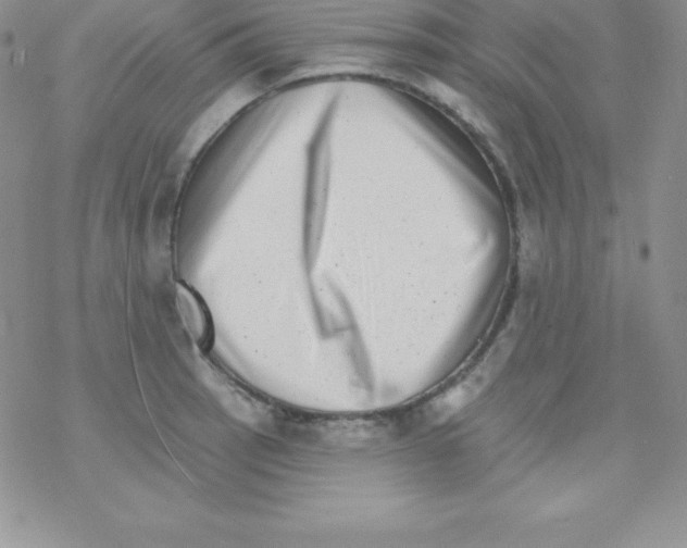 X0000077351137200611171851