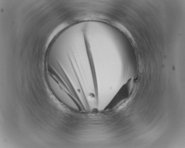 X0000077351138200611171851