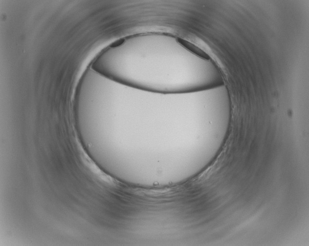 X0000077351140200611171851