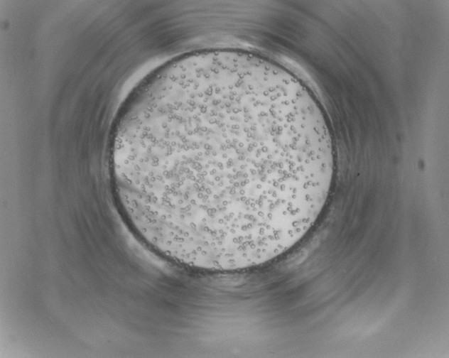 X0000077351141200611171851