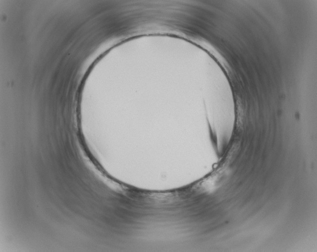 X0000077351142200611171852