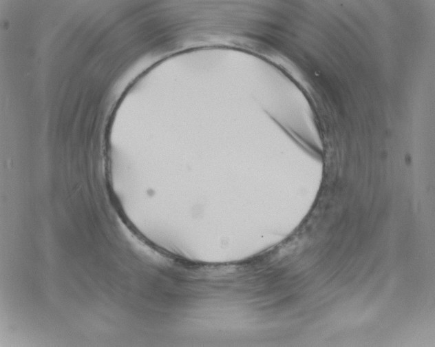 X0000077351143200611171852