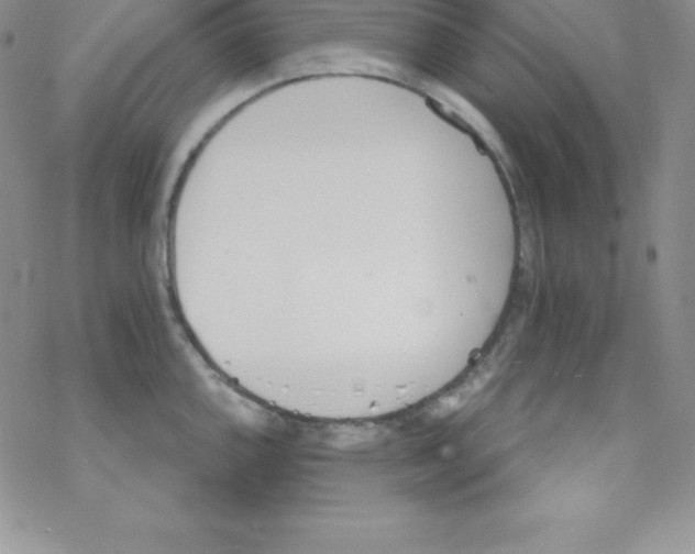 X0000077351144200611171852