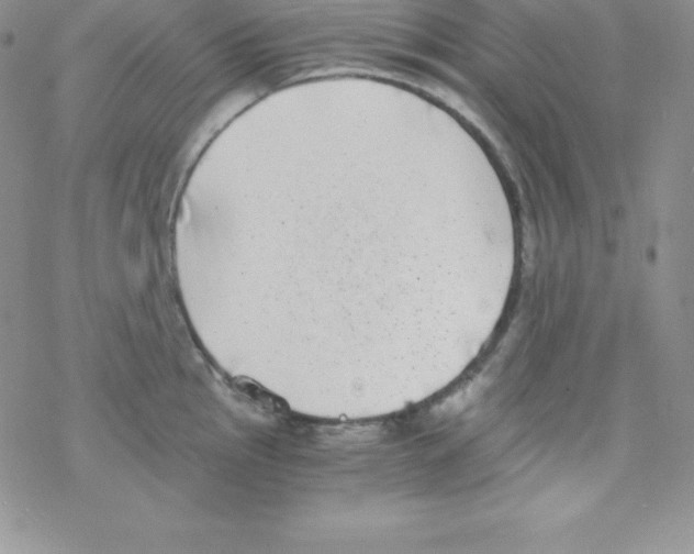 X0000077351145200611171852