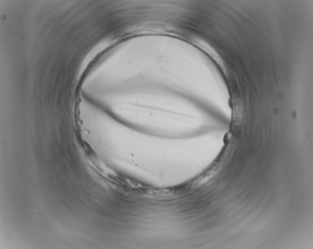 X0000077351146200611171852