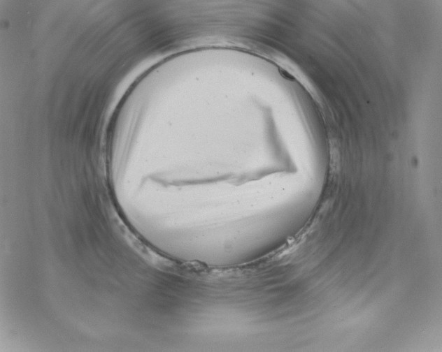 X0000077351148200611171852