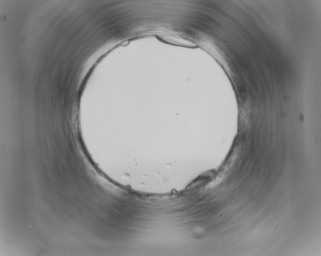 X0000077351149200611171852