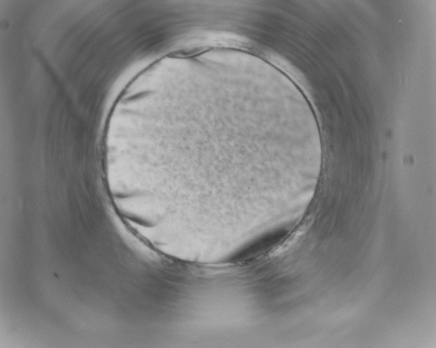 X0000077351152200611171852