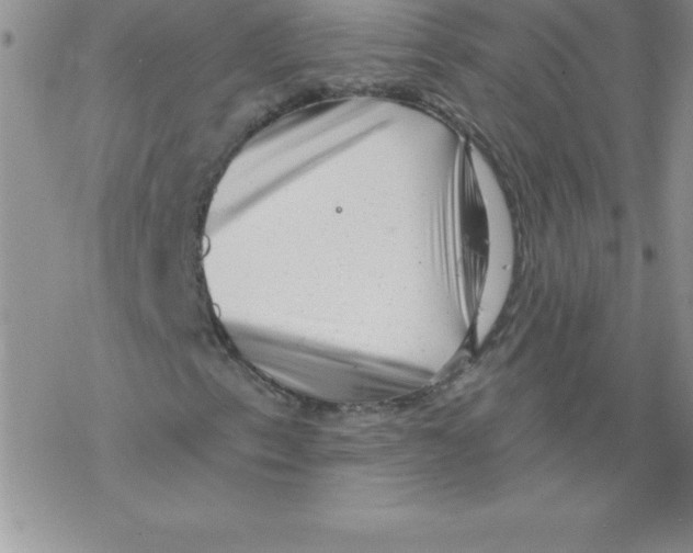 X0000077351153200611171851