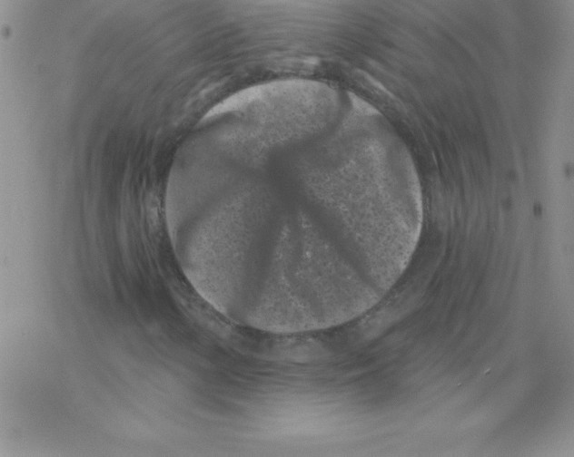 X0000077351154200611171851