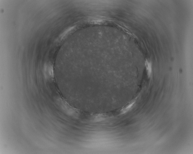 X0000077351155200611171851