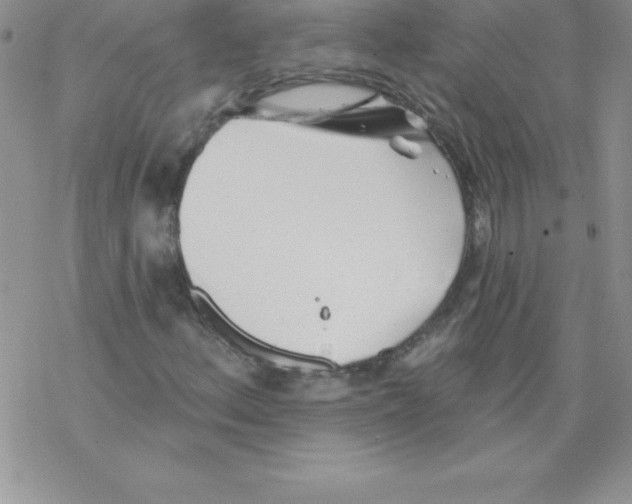 X0000077351156200611171851