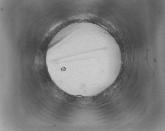 X0000077351158200611171851