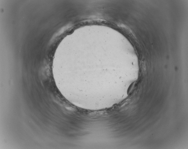 X0000077351159200611171851