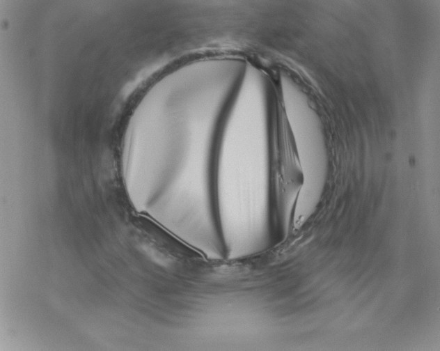 X0000077351160200611171851