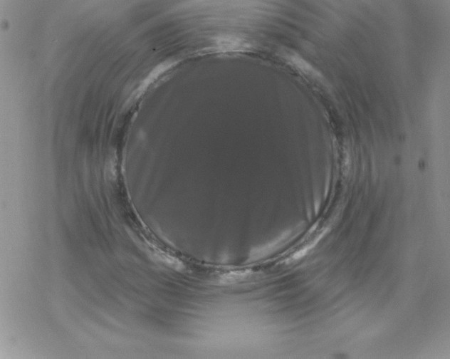 X0000077351161200611171851