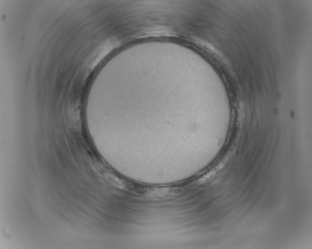 X0000077351162200611171851