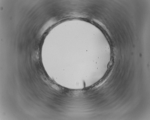 X0000077351163200611171851