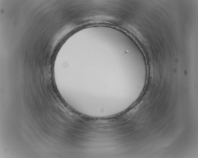 X0000077351164200611171851