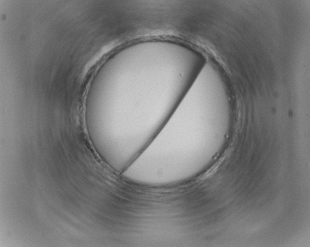 X0000077351165200611171851